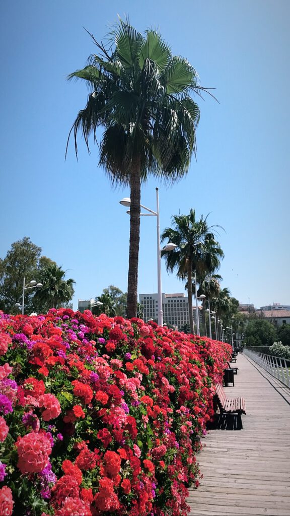 Pont de les Flors Valencia