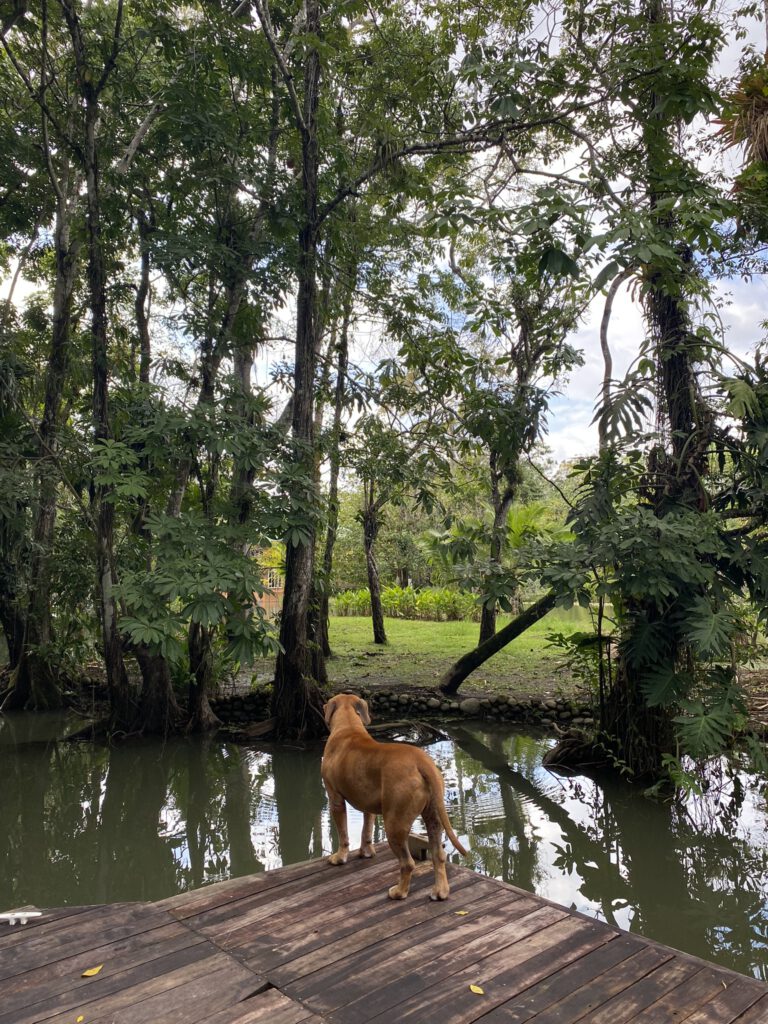 rio-dulce-hotel